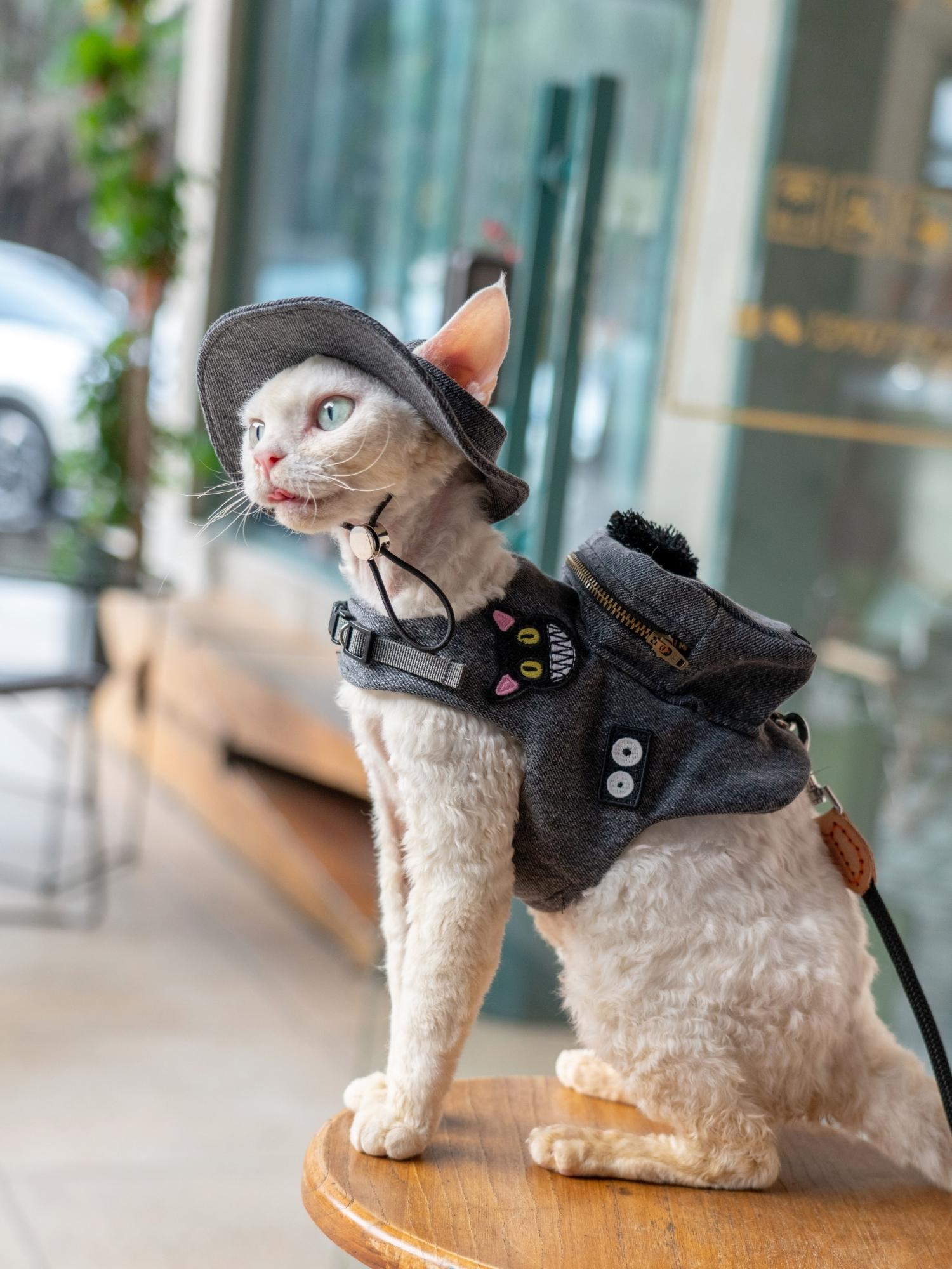 เสื้อกั๊กสำหรับน่ารักสีดำแมว g - Luxury Bags Cute บทวิจารณ์และราคา
